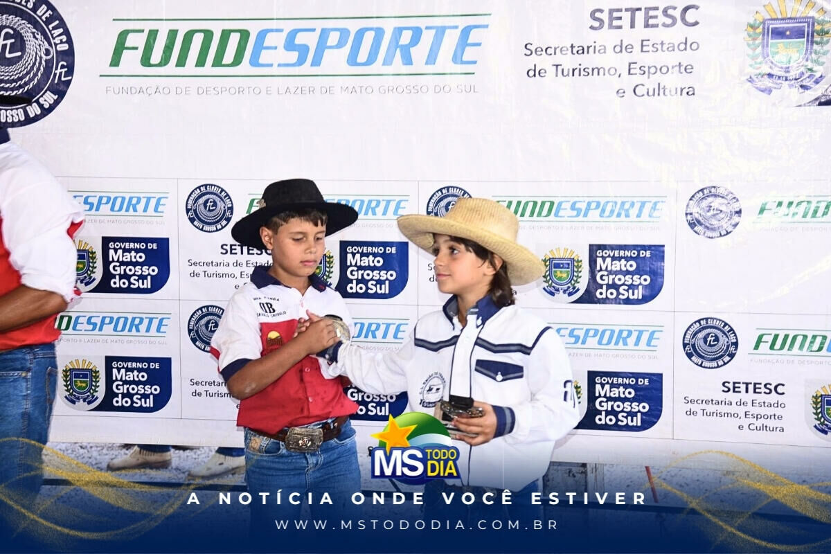 Imagem da Galeria